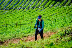 BIB: 3190
                            <button type="button" onclick="openModal(19163244)" class="btn btn-primary btn-sm float-right btn-popup" data-toggle="modal" data-target=".modal-high-quality">
                        <i class="fas fa-shopping-cart"></i> Add to Cart
                    </button>
                                            <button type="button" onclick="isThisMe(19163244, true)" class="btn btn-success btn-sm float-right btn-popup btn-isme hidden" data-toggle="tooltip" data-placement="bottom" title="นี่คือรูปของคุณใช่ไหม คลิกที่นี่เพื่อเอาเข้าอัลบั้ม">
                        <i class="fas fa-plus"></i> Add to album
                    </button>
                    <button type="button" onclick="isThisMe(19163244, false)" class="btn btn-warning btn-sm float-right btn-popup btn-isnotme hidden">
                        <i class="fas fa-ban"></i> Remove from album
                    </button>